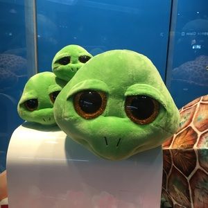 Meet your Posher, Kara